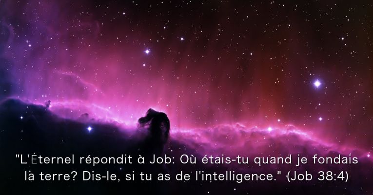 Respondió Dios a Job: ¿Dónde estabas tú cuando yo fundaba la tierra? Házmelo saber, si tienes inteligencia. (Job 38:4)