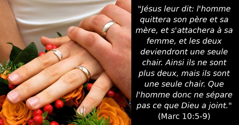 Y Jesús les dijo: dejará el hombre a su padre y a su madre, y se unirá a su mujer, y los dos serán una sola carne; así que no son ya más dos, sino uno. Por tanto, lo que Dios juntó, no lo separe el hombre. (Mr 10:5-9)