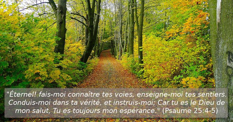 Muéstrame, oh Jehová, tus caminos; enséñame tus sendas. Encamíname en tu verdad, y enséñame, porque tú eres el Dios de mi salvación; en ti he esperado todo el día. (Sal 25:4-5)