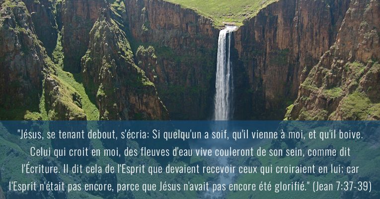 Jesús se puso en pie y alzó la voz, diciendo: Si alguno tiene sed, venga a mí y beba. El que cree en mí, como dice la Escritura, de su interior correrán ríos de agua viva. Esto dijo del Espíritu que habían de recibir los que creyesen en él (Jn 7:37-39)